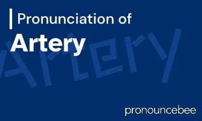 how to pronounce artery|adamkiewicz artery pronunciation.